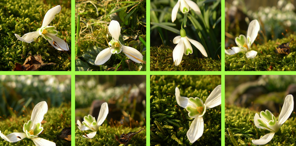 endlich Fr&uuml;hling
